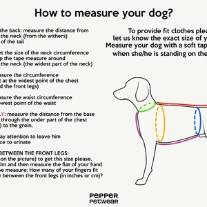 Cappotto per cani bassotto Giacca invernale extra calda per cani con protezione ventre e scaldacollo Esterno impermeabile con pile Realizzato su misura immagine 7