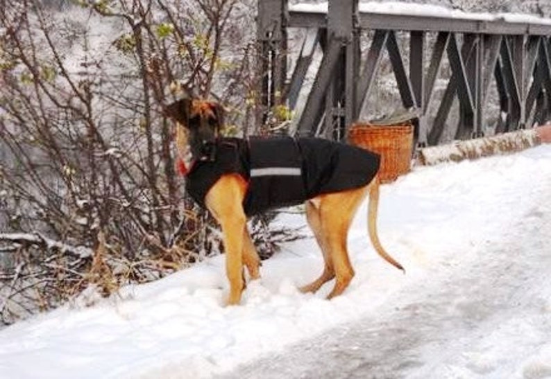 Great Dane Extra Warm Winter Dog Coat Dog Jacket With Etsy