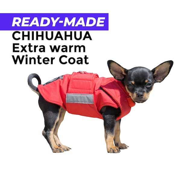 Manteau d’hiver Chihuahua Extra Warm prêt à l’emploi - Veste Chihuahua - Extérieur imperméable avec isolation et doublure polaire