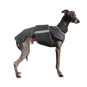 Italian Greyhound Coat -  Winter Dog Jacket with underbelly protection -  Waterproof jacket - Custom made for your dog