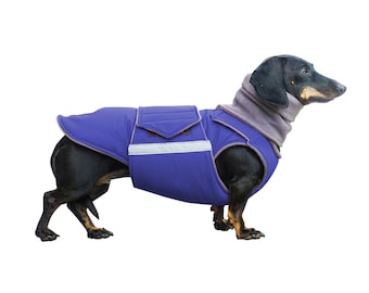 Dachshund Dog Coat - Extra Warm Winter Dog Jacket with underbelly protection and neck warmer - Waterproof outer with fleece - Custom made