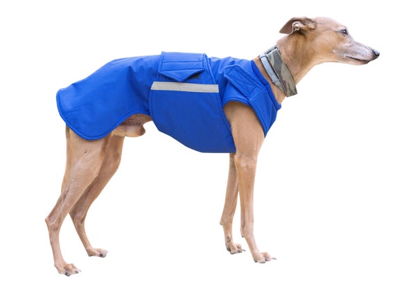 whippet rain coat