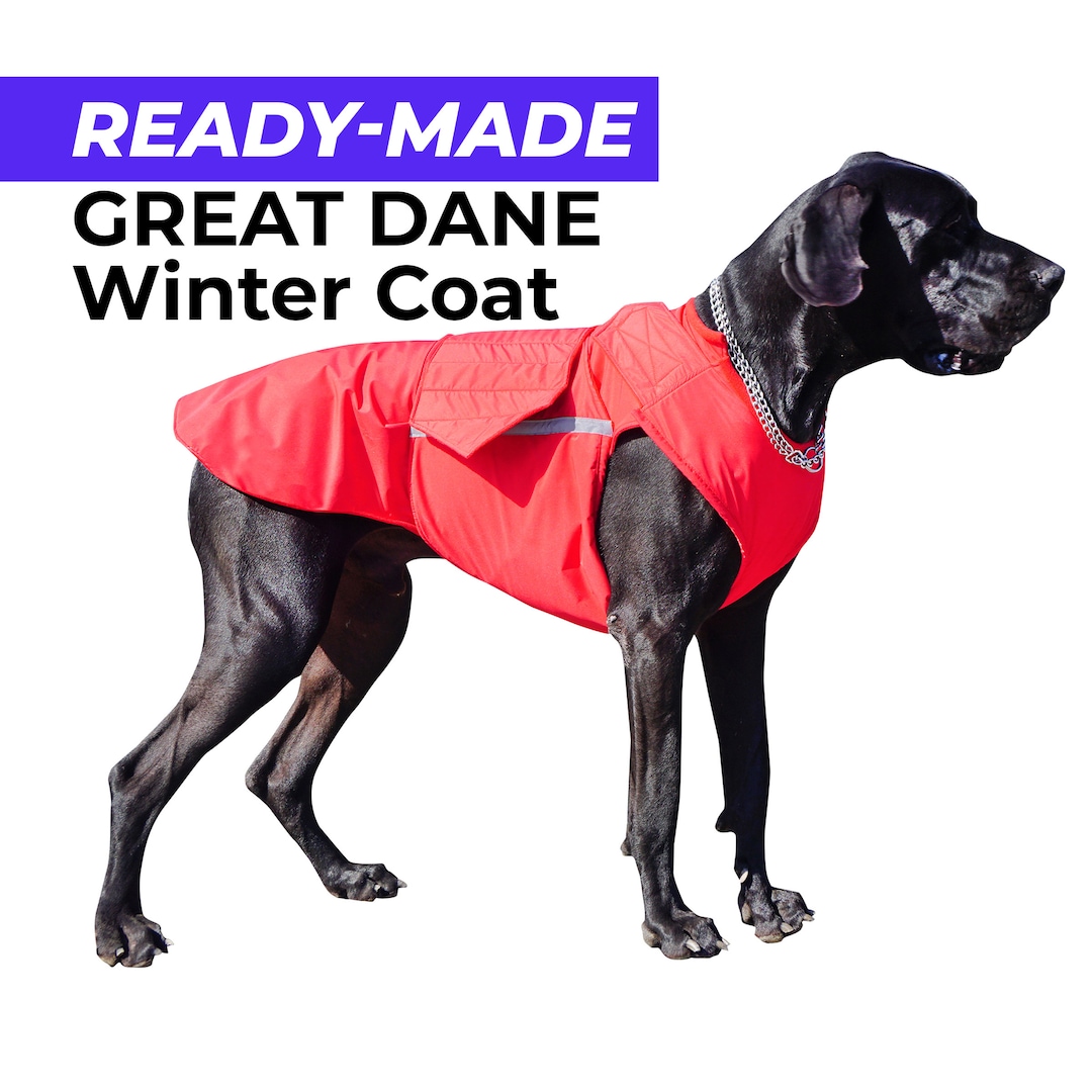 Readymade Great Dane Winter Coat Great Dane Jacket Waterproof Outer