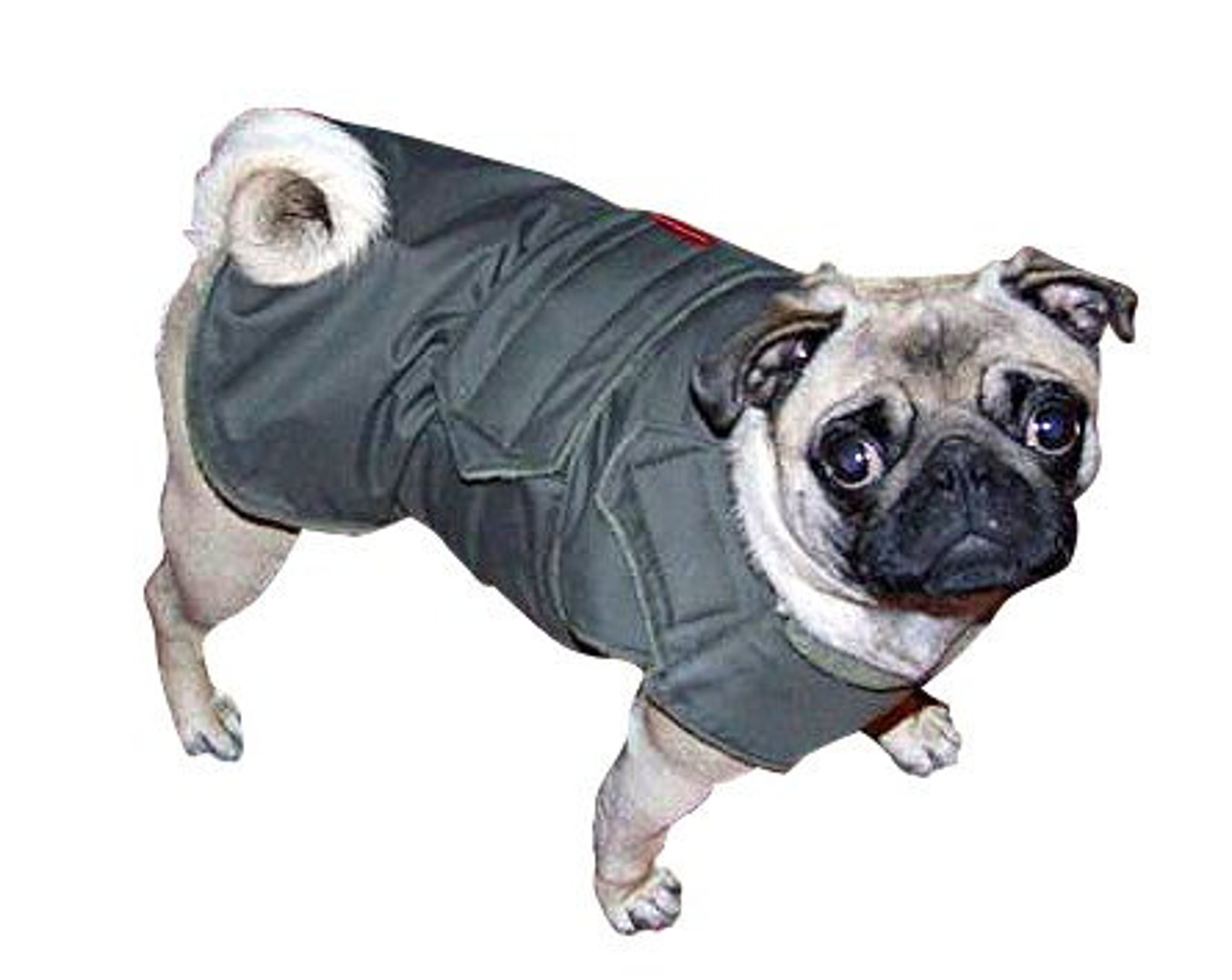Dog Jacket for Pugs Dog Coat Extra Warm Winter Dog Coat Etsy UK