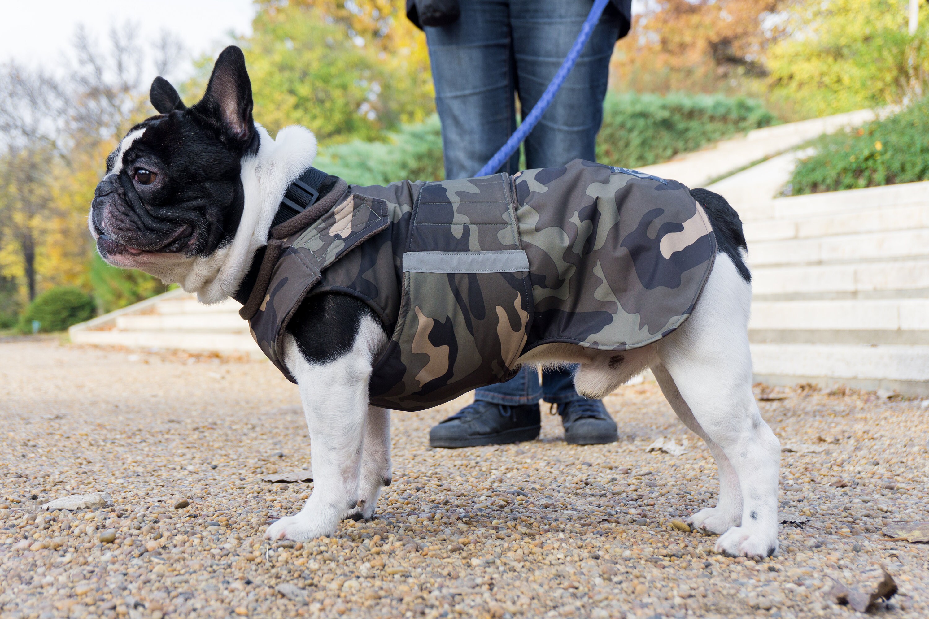 French Bulldog Winter Dog Coat Extra Warm Dog Jacket Etsy