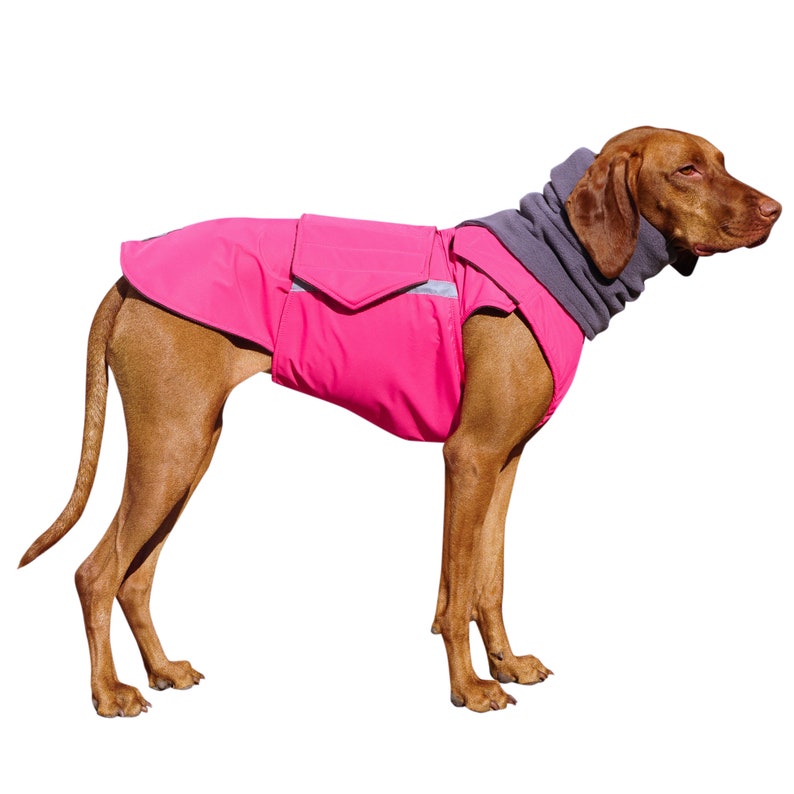 Winter Dog Coat Dog Jacket With Underbelly Protection and Etsy