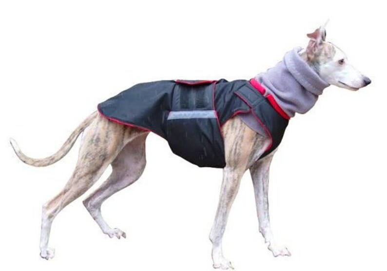 Greyhound Dog Raincoat with snood and underbelly protection Etsy