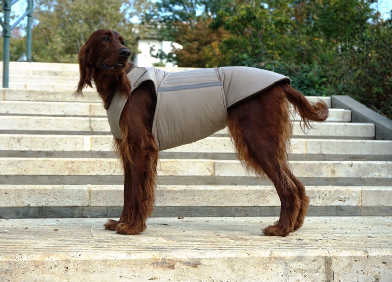 Irish Setter Dog Winter Coat Dog Rain Jacket With Underbelly Etsy