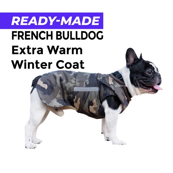 French Bulldog Coat Etsy