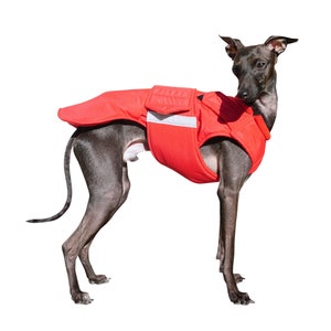 Italian Greyhound Extra Warm Winter Dog Coat - Dog Jacket with underbelly protection - Waterproof jacket - Custom made for your dog