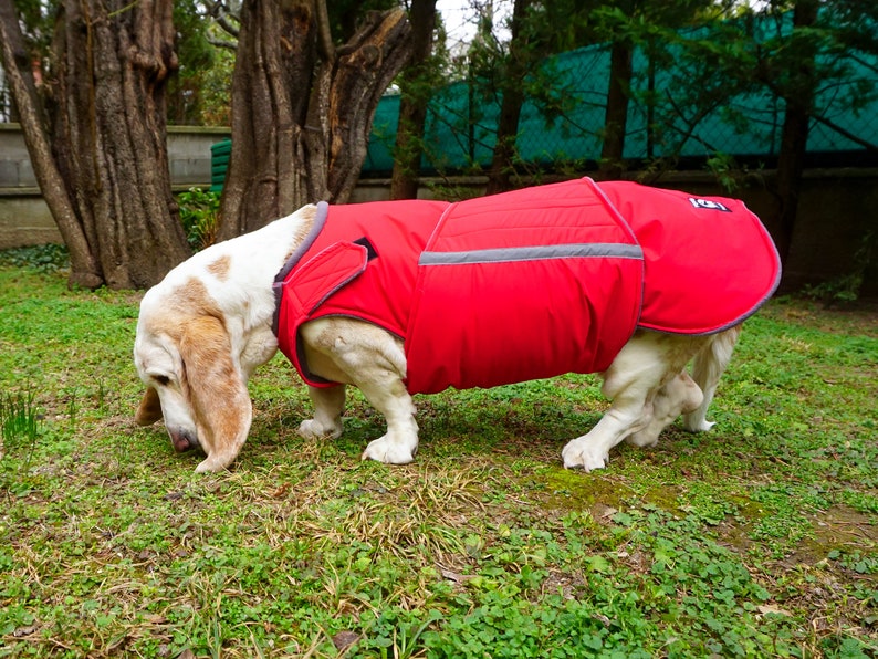 Coats For Basset Hounds
 Basset Hound Extra Warm Winter Dog Coat Dog Jacket Custom Etsy