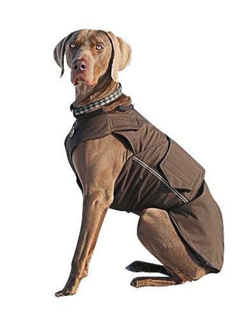 Dog Raincoat for Vizslas Dog Rain Jacket Custom Dog Etsy