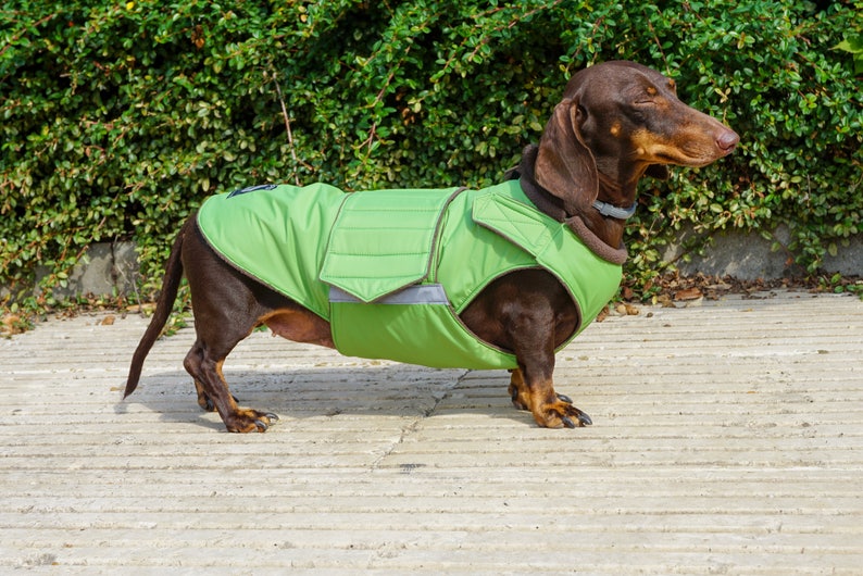 Dog Winter Coat With Underbelly Protection Dachshund Coat Etsy Canada