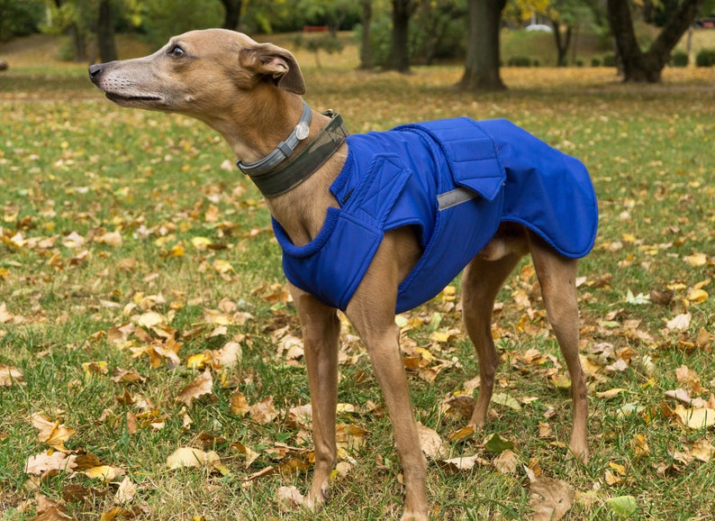Whippet Coat With Underbelly Protection Winter Dog Jacket Etsy UK