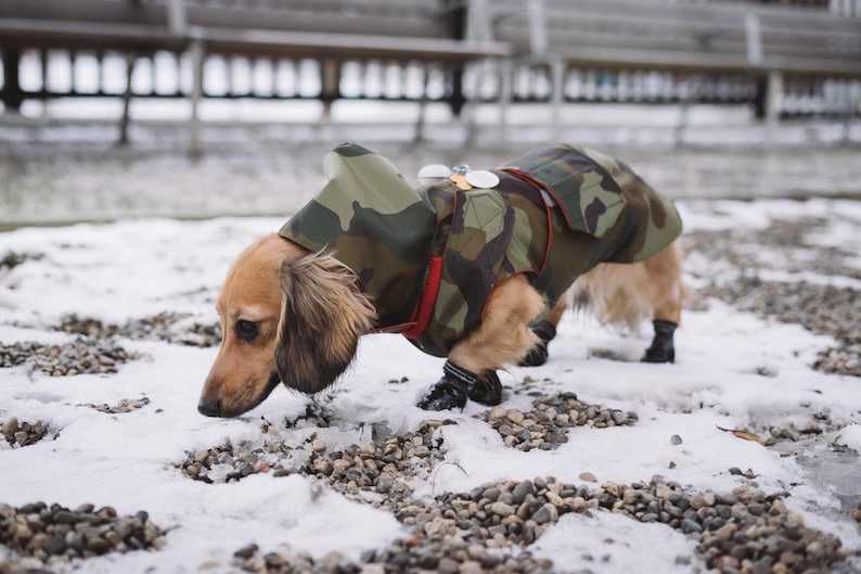 Camo Winter Dog Coat with neck warmer, hood and underbelly protection Waterproof / Fleece dog clothes Custom made for your dog image 2