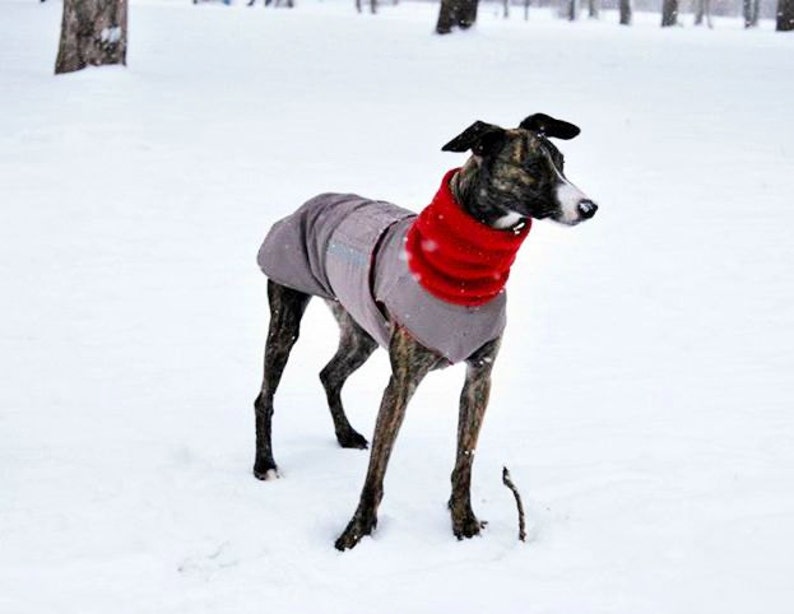 Extra Warm Winter Dog Coat Dog Jacket With Snood Etsy
