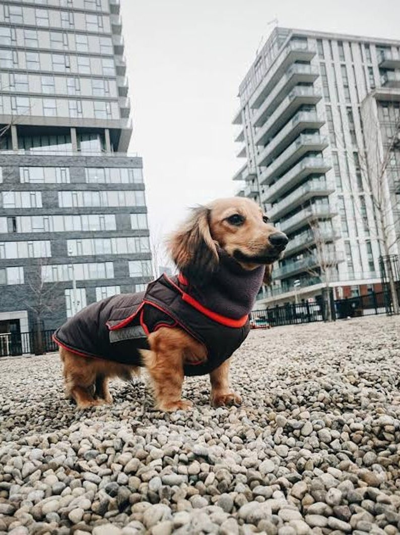 Dachshund Dog Raincoat With Hood and Neck Warmer Brown Etsy