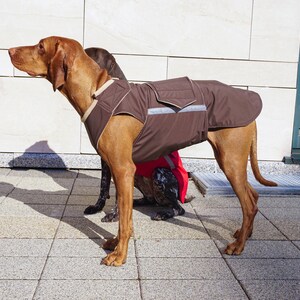 Ready-made Vizsla Winter Coat Vizsla Jacket Waterproof outer with fleece lining image 7