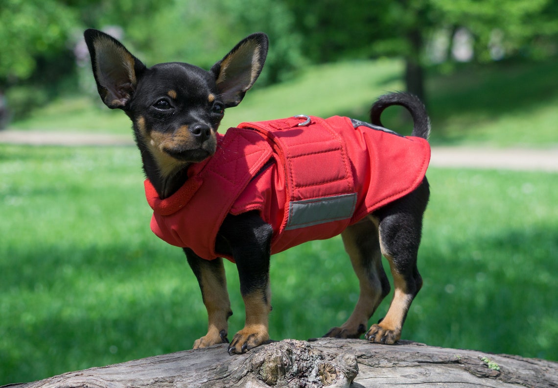 Chihuahua Hund Mantel Winter Hund Jacke maßgeschneiderte Etsy
