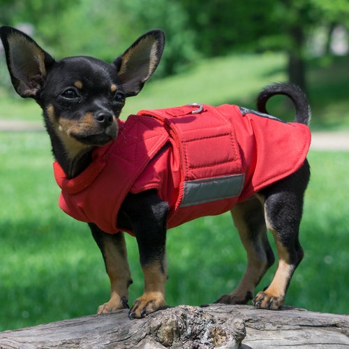 Chihuahua Dog Coat Winter Dog Jacket Custom Made Dog Coat Etsy