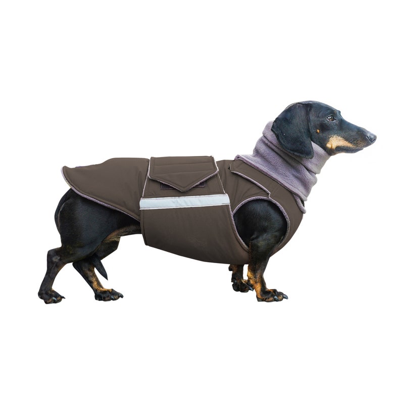 Dachshund Dog Coat Extra Warm Winter Dog Jacket with underbelly protection and neck warmer Waterproof outer with fleece Custom made image 3