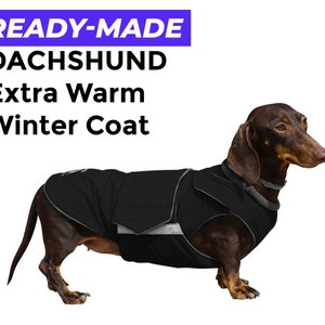 BOXER Hund dog Winter FLEECE Handschuhe gloves