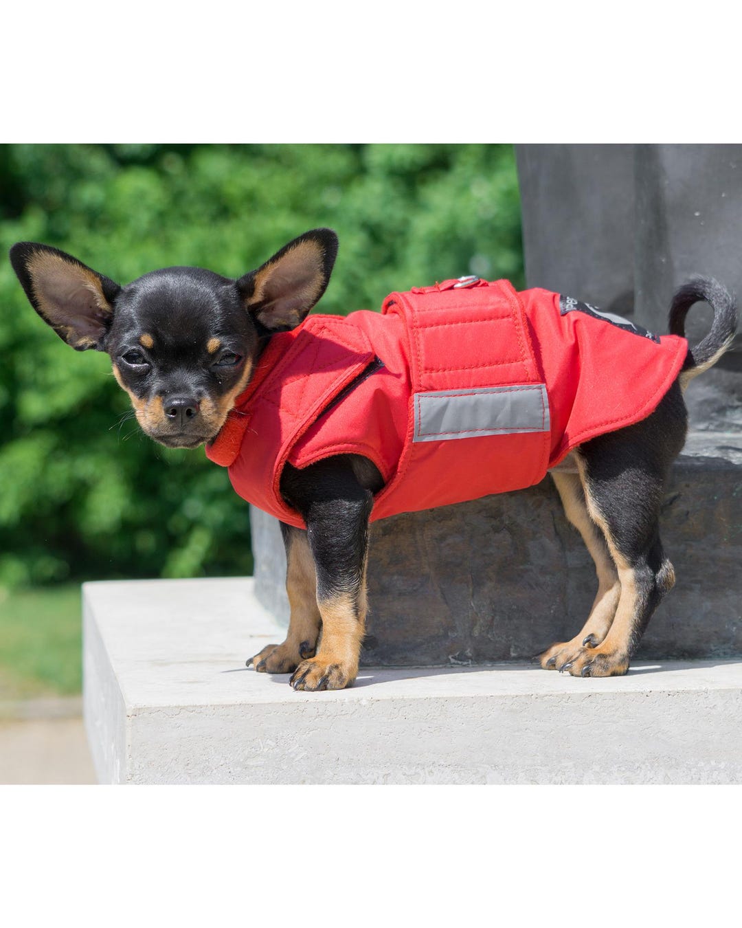 Dog Clothes Ropa De Invierno Para Chihuahuas Sudaderas Ropa De