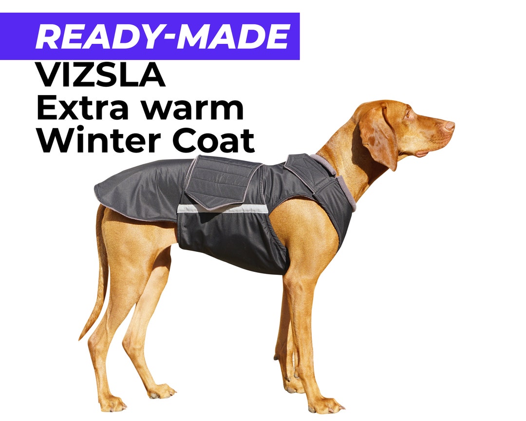 Readymade Vizsla Extra Warm Winter Coat Vizsla Jacket Etsy