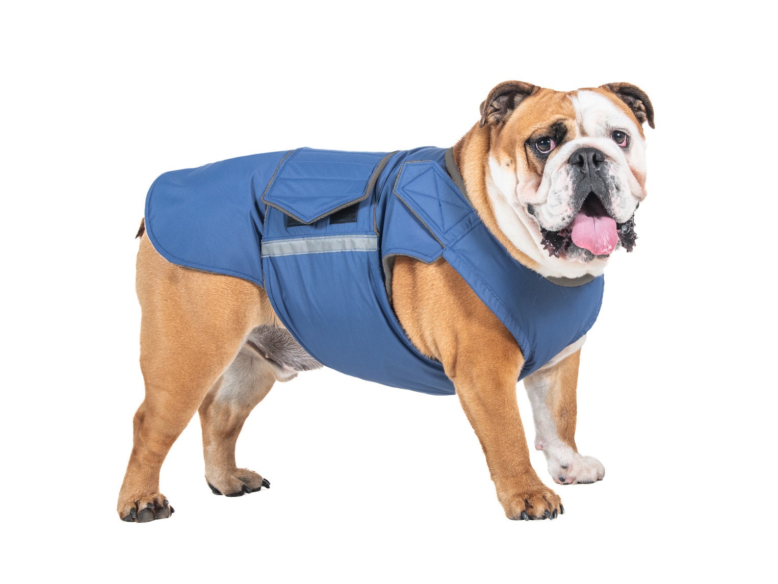 ジャケット・アウター Bulldog Ready-made English Bulldog Raincoat - English Bulldog Jacket