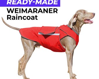 Ready-made Weimaraner Rainoat - Weimaraner Waterproof Jacket