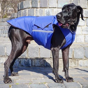 Abrigo de invierno extra cálido para perros Gran Danés con protección para el vientre - HECHO A PEDIDO