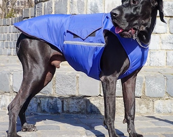Great Dane Extra Warm Winter Dog Coat with underbelly protection - MADE TO ORDER