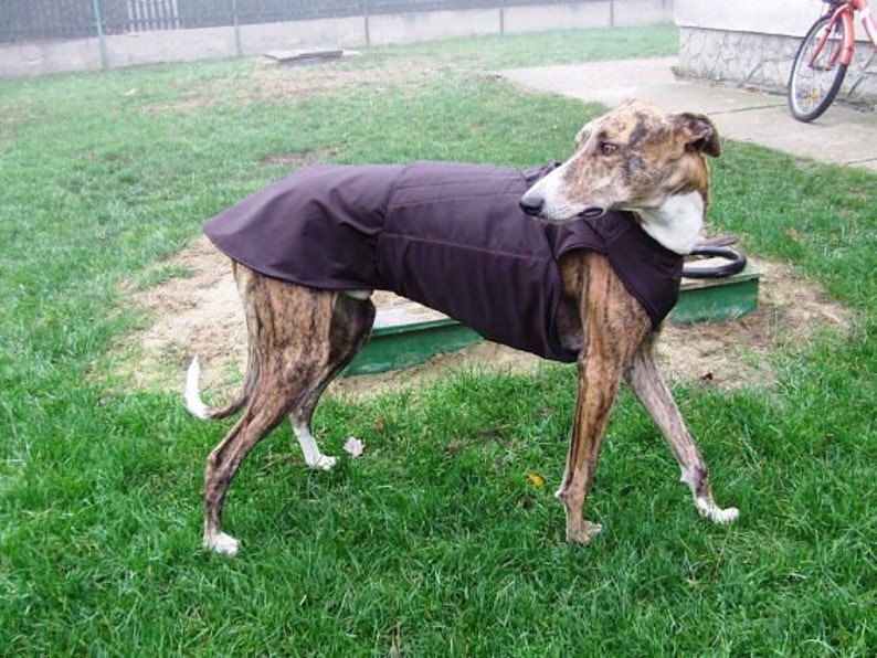 Greyhound Extra Warm Winter Dog Coat Dog Jacket With Double Etsy