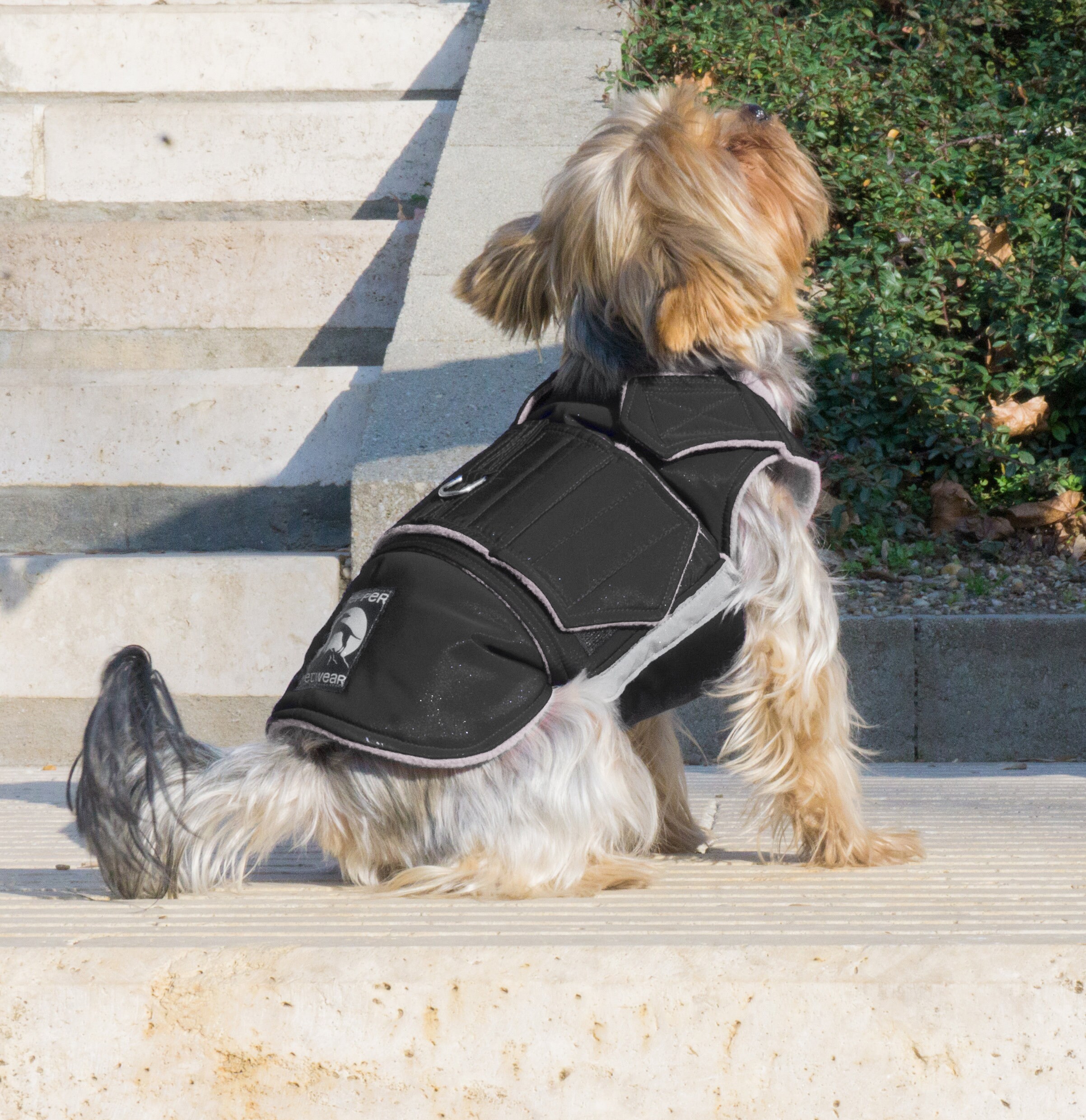 Readymade Yorkie Extra Warm Winter Coat Yorkie Jacket Etsy