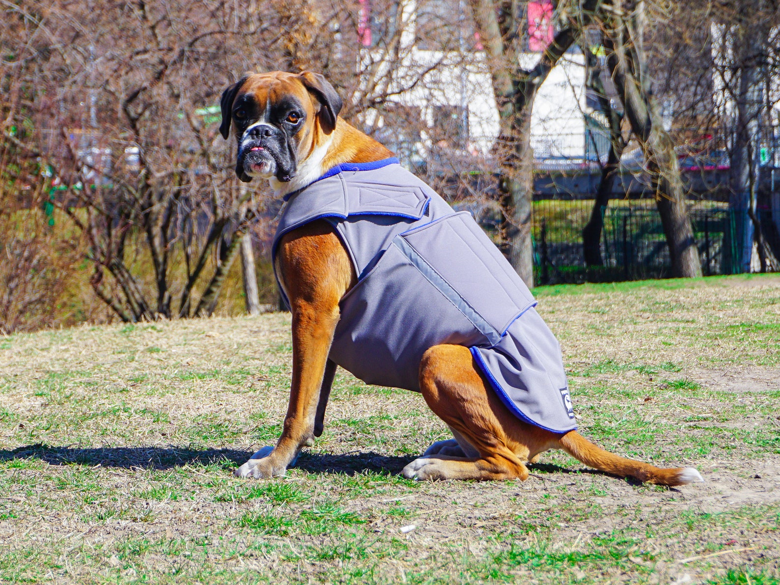 Boxer Dog Coat Winter Dog Jacket Softshell Outer With Etsy
