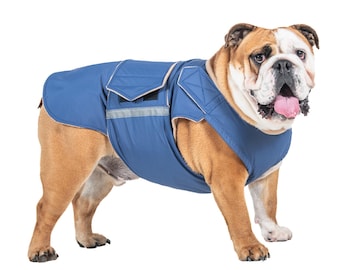English Bulldog Winter Jacket with Full Belly Cover – Custom Made