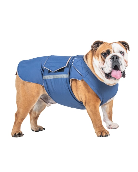 English Bulldog Winter Jacket with Full Belly Cover – Custom Made