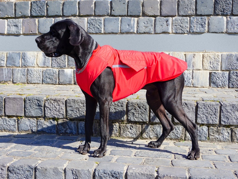 Great Dane Dog Raincoat Dog Rain Jacket for Large Dogs Etsy