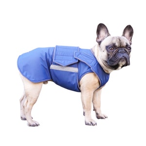 French Bulldog Coat - Winter Dog jacket with underbelly covering - Dog Raincoat - Custom made for your dog