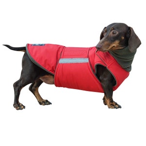 Dachshund Winter Dog Coat with full belly cover and neck warmer - Custom made dog clothes - Waterproof / Fleece Dog Jacket - MADE TO ORDER