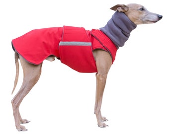 Whippet SoftShell Dog Coat - Red Winter Dog Coat - Custom Dog Raincoat - SoftShell / Fleece coat + turtleneck / snood - MADE TO MEASURE