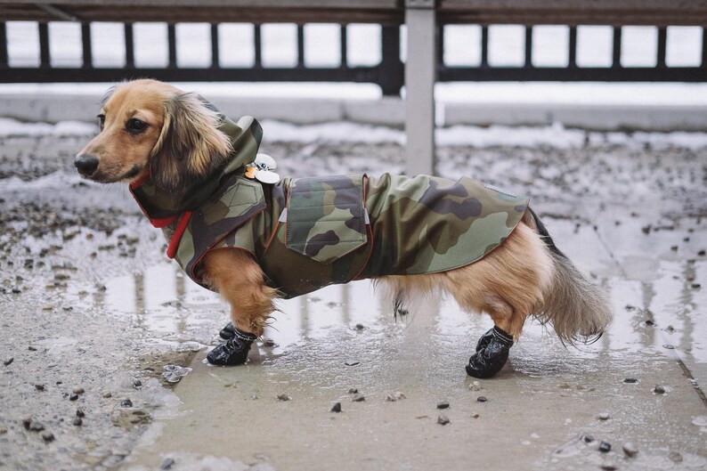 Camo Winter Dog Coat With Neck Warmer Hood and Underbelly Etsy