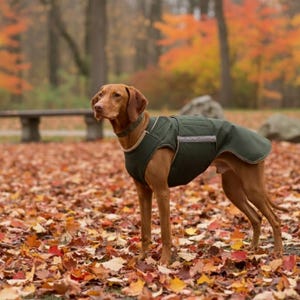 Vizsla & Pointer Softshell Winter Jacket – Custom Made