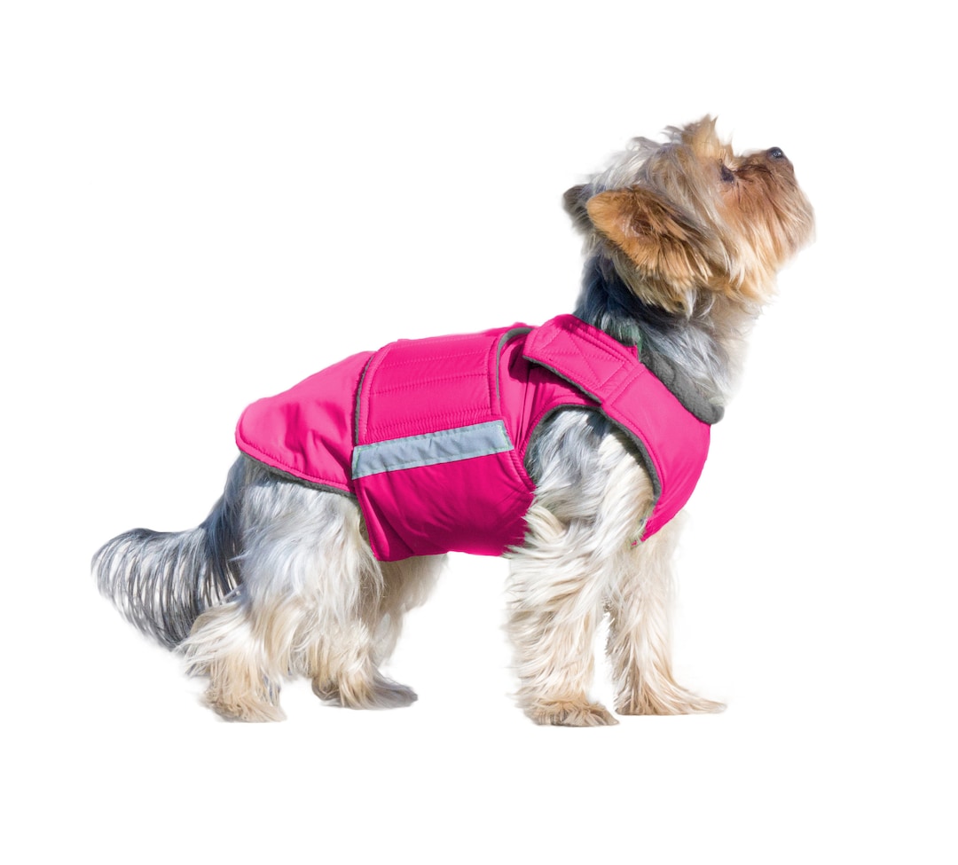 Yorkie Coat Yorkshire Terrier Dog Jacket With Underbelly Protection