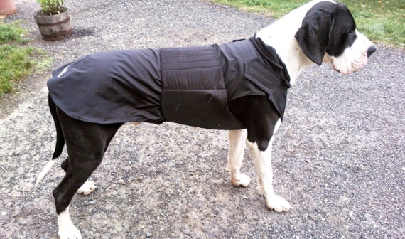 great dane winter jacket