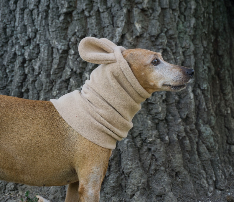 Winter Dog Snood With Ears Fleece Dog Snood Dog Hat / Hood Etsy Australia