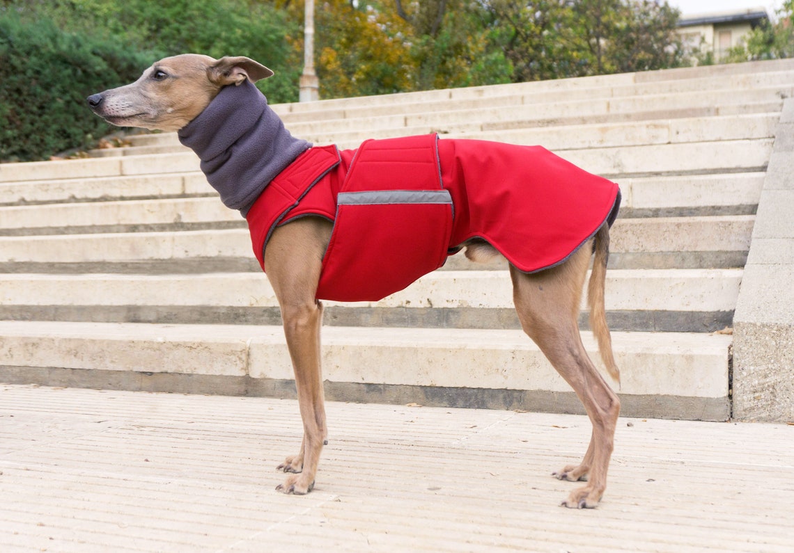Winter Dog Coat With Snood and Underbelly Protection Polar Etsy