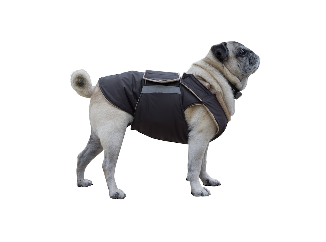 Dog Raincoat for Pugs Dog Jacket With Underbelly Protection Waterproof Dog Clothes Dog Rain Coat