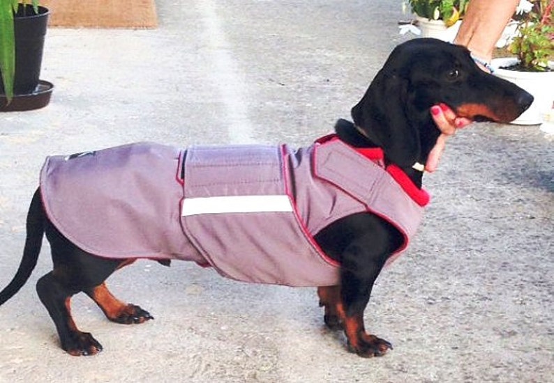 Hundemantel für Dackel Winter Hund Jacke mit Unterbauch Etsy