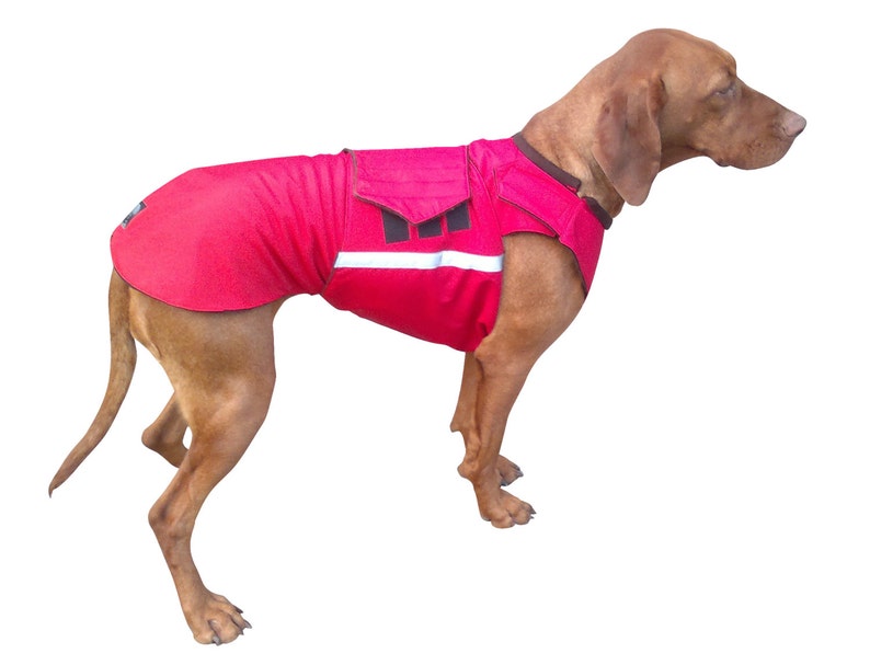 Vizsla Winter Dog Coat Custom made Dog Raincoat Dog Jacket Etsy
